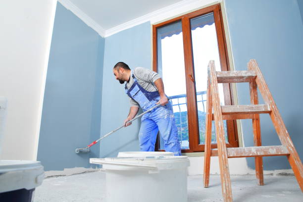Mold Removal for HVAC Installations in El Cerro, NM