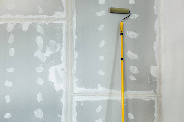 Best Dehumidification Services  in El Cerro, NM