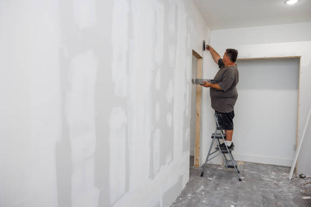 Trusted El Cerro, NM Mold Removal Experts